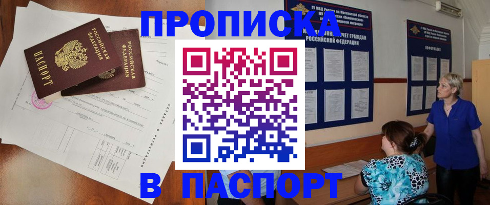 временная регистрация недорого в Долгопрудном